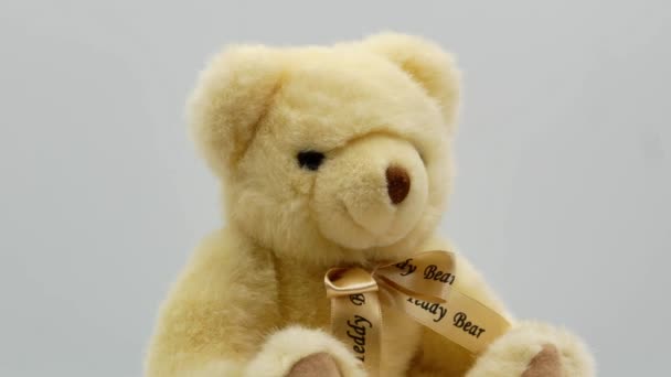 Teddy bear on a white background 4k - Záběry, video