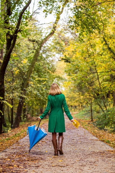 Woman holding umbrella and fall leaves while walking in the park. - 写真・画像