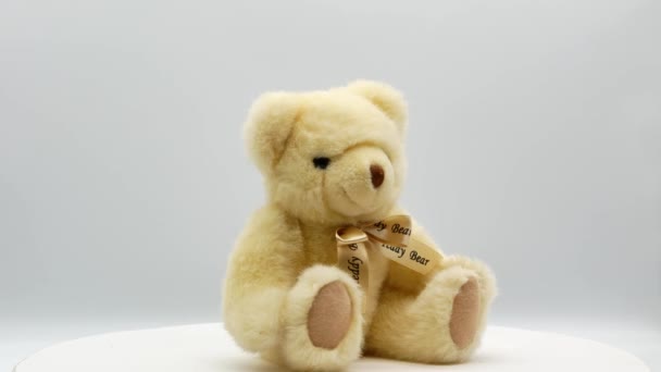 Teddy bear on a white background 4k - Materiaali, video