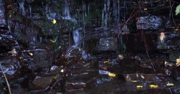 Slow pan upward of a closeup on a waterfall with splashing drops among twigs and leaves - Filmati, video