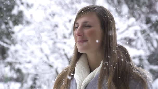 γυναίκα που απολαμβάνει στη χώρα των θαυμάτων χειμώνα - Πλάνα, βίντεο