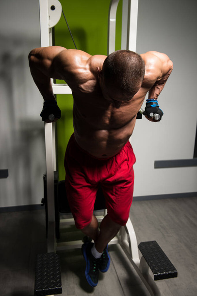 Triceps And Chest Exercise on Parallel Bars - 写真・画像