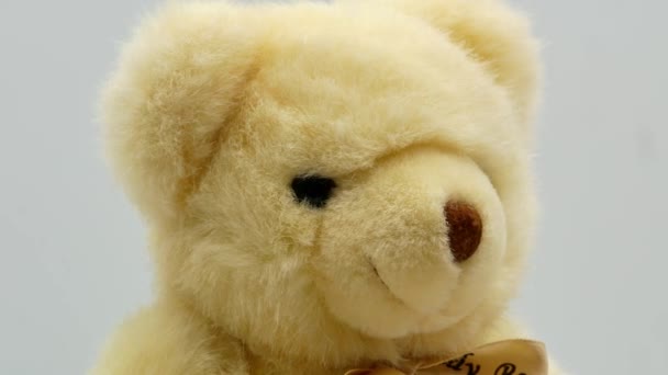 Ведмедик Тедді на білому тлі 4k
 - Кадри, відео