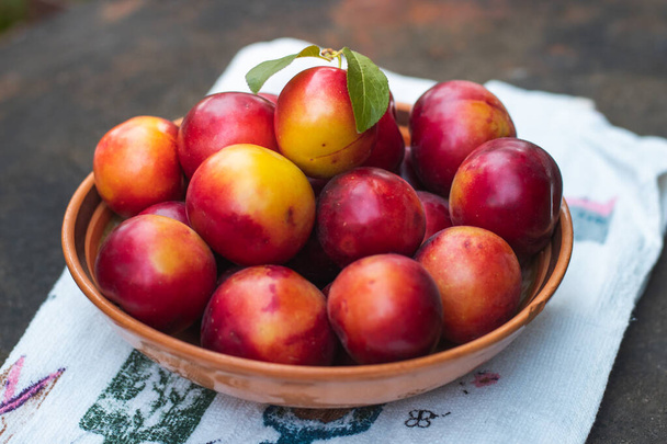 Ripe plums in a plate. Plate with plums on the table. - Photo, Image