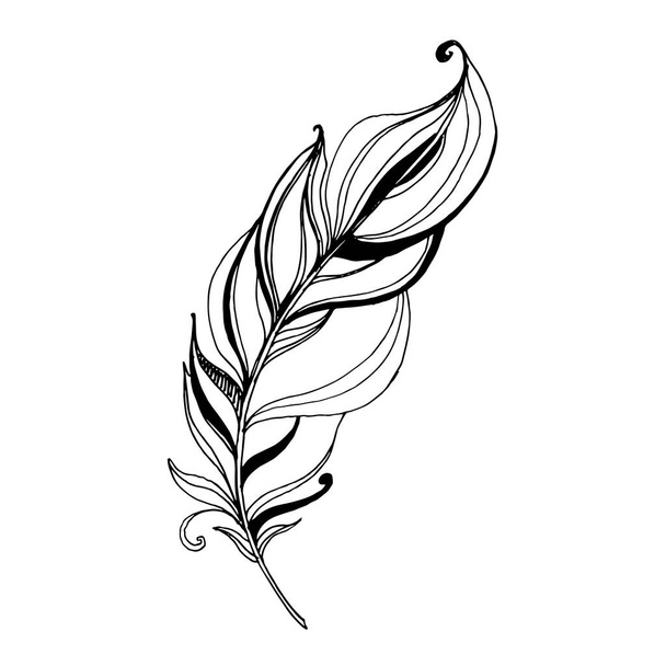 Vector Bird feather from wing isolated. Black and white engraved ink art. Isolated feathers illustration element. - Vektor, Bild