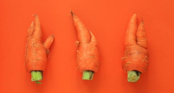 Comida fea. Zanahorias deformadas sobre fondo naranja brillante de moda.Concepto de problema de desperdicio de alimentos.Plano mínimo, estilo de arte pop
 - Foto, imagen