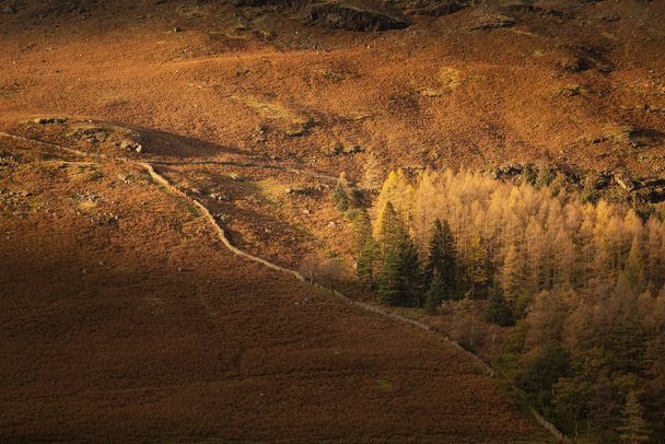 Majestátní pulzující podzimní podzimní krajina Máselník v Lake Distri - Fotografie, Obrázek