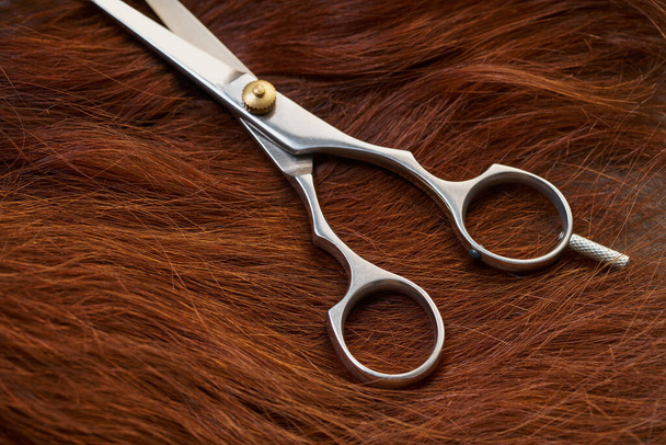new hairdresser scissors  - Zdjęcie, obraz