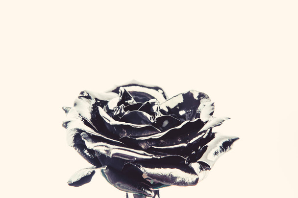 Forging and sculpture. Beautiful black silver flower. Floral shop. Metallic steel color. Flower covered metallic paint close up. Metal flower. Abstract art. Eternal beauty. Botany concept - Fotoğraf, Görsel