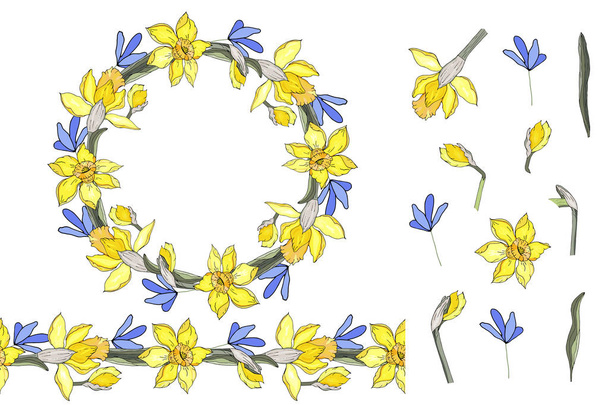 Round wreath of blue primroses and daffodils. Floral elements for your design. Seamless flower brush. - Vector, afbeelding