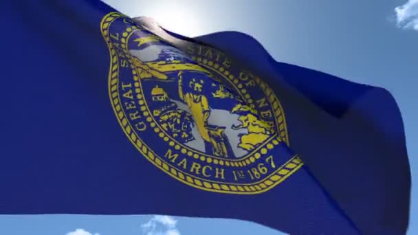 Vlajka nebraska mávat ve větru - Záběry, video