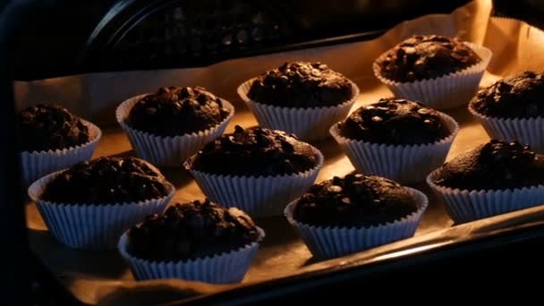 Lahodné čokoládové muffiny se vaří v troubě. Čokoládové muffiny v papírových formách posypané čokoládovým práškem ve formě kostek - Záběry, video