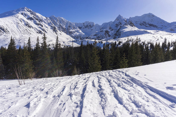 Big snow-capped peaks of the Tatra Mountains on a sunny day. - Photo, Image