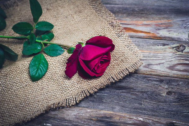 Beautiful red rose on an old vintage surface - Photo, image