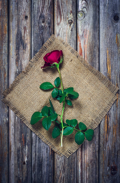Beautiful red rose on an old vintage surface - Photo, Image