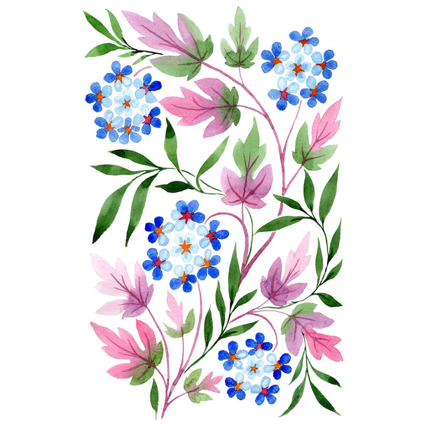 Çiçek süsleri, botanik çiçekleri. Suluboya arkaplan çizimi. İzole buketler çizim ögesi. - Fotoğraf, Görsel