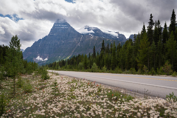 Icefield Parkway, Banff National Park, Alberta, Canadá
 - Foto, imagen