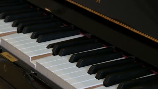Selbstspielende schwarze Klaviertastatur in Nahaufnahme. - Filmmaterial, Video