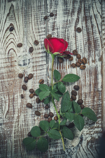 Beautiful red rose on an old vintage surface - Photo, image