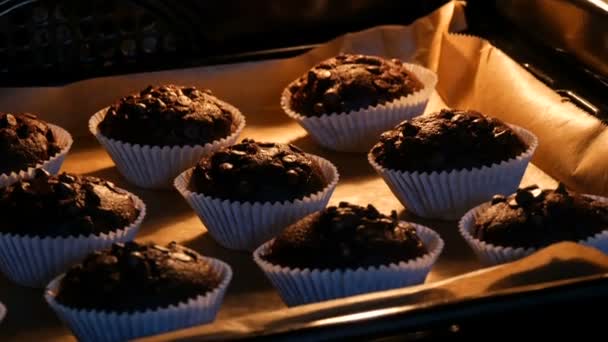 Deliciosas magdalenas de chocolate se cocinan en el horno. Magdalenas de chocolate en moldes de papel espolvoreados con polvo de chocolate en forma de cubos
 - Metraje, vídeo