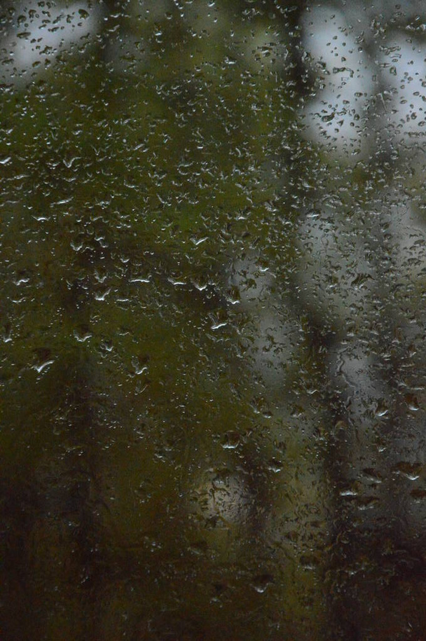 Капли дождя на окно на фоне леса
 - Фото, изображение