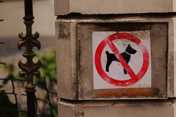 Aucun signe de chien sur le pilier de clôture en béton
 - Photo, image