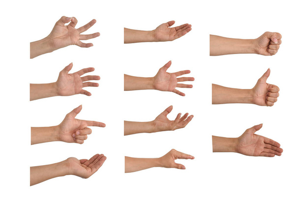 Conjunto de colección múltiple mano masculina en gestos aislados sobre fondo blanco
 - Foto, imagen