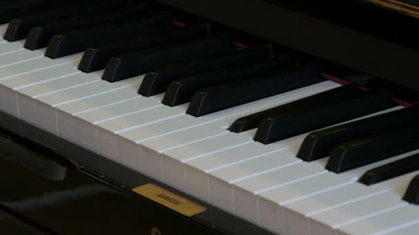 Zelf piano spelen. Zwarte piano keyboard close-up. - Video