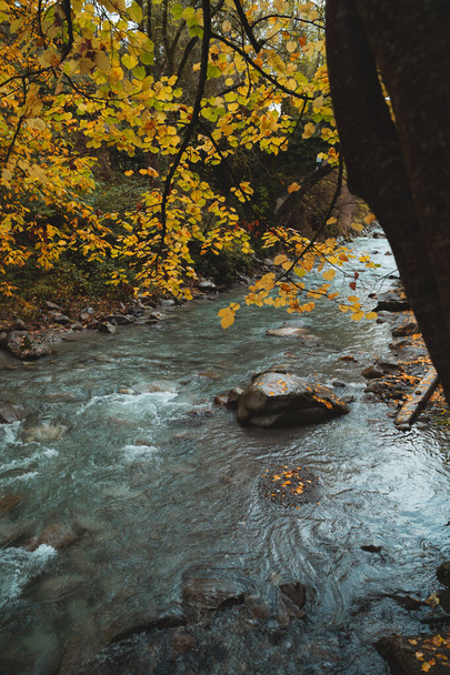 Sendero de senderismo de otoño en los Pirineos a lo largo del río
 - Foto, Imagen