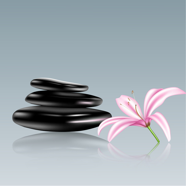 Spa stones and lily flower. Vector illustration - Vector, Image