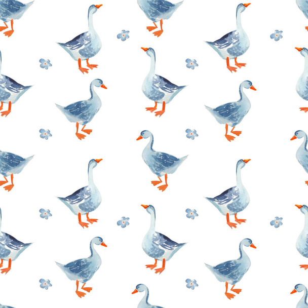 Poultry seamless pattern: Watercolor cartoon gooses isolated on  - Photo, Image