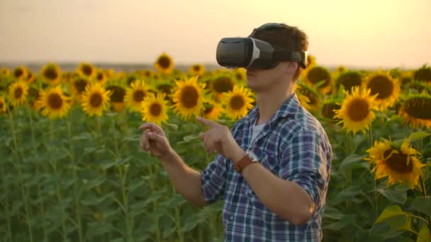 Der Biologe arbeitet bei Sonnenuntergang in einer Vr-Brille - Filmmaterial, Video