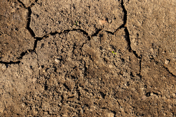 Textura de suelo seco agrietado para fondo
 - Foto, Imagen