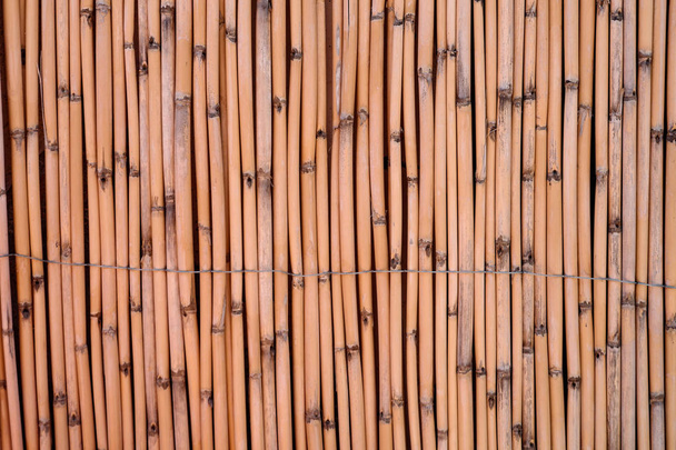 Reed screening texture, Natural Willow Garden Fence, Bamboo texture background. - Фото, изображение
