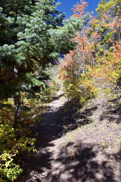 Caminhadas vistas caminho em Oquirrh Montanhas com folhas de outono ao longo da frente Wasatch Montanhas Rochosas, por Kennedy Rio Tinto mina de cobre, Tooele eo Vale do Grande Lago Salgado, Utah, Estados Unidos
. - Foto, Imagem
