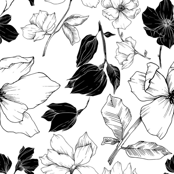 Vektormagnolie mit botanischen Blüten. Schwarz-weiß gestochene Tuschekunst. nahtloses Hintergrundmuster. - Vektor, Bild