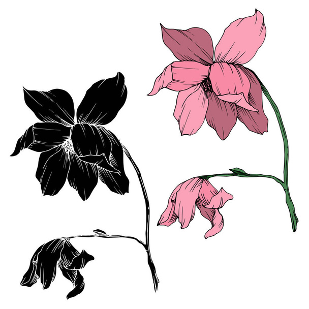 Vector Magnolia цветочные ботанические цветы. Черно-белый рисунок чернил. Изолированный элемент иллюстрации магнолии
. - Вектор,изображение