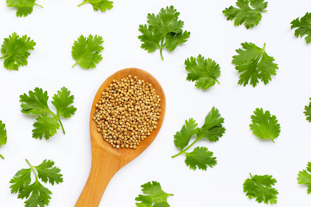 Coriander seeds with fresh leaves isolated on white  - Photo, Image