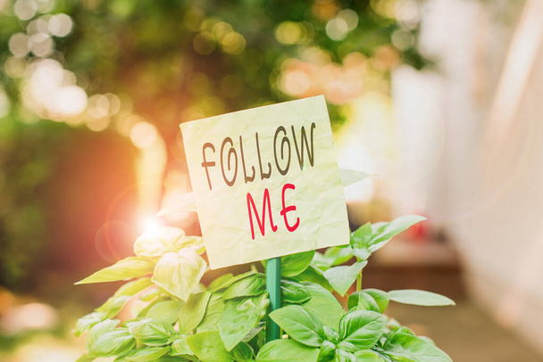 Text sign showing Follow Me. Conceptual photo Inviting a demonstrating or group to obey your prefered leadership Plain empty paper attached to a stick and placed in the green leafy plants. - 写真・画像