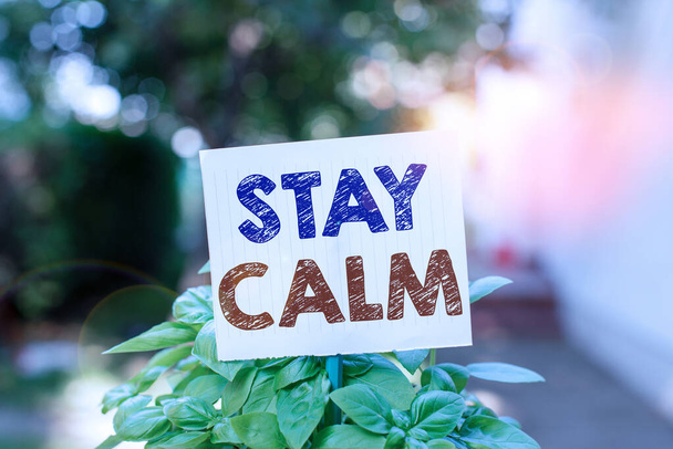Word writing text Stay Calm. Business concept for Maintain in a state of motion smoothly even under pressure Plain empty paper attached to a stick and placed in the green leafy plants. - Fotoğraf, Görsel