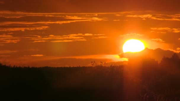 Sunset - Footage, Video