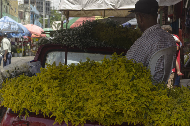 желтый и белый цветок на рынке
 - Фото, изображение