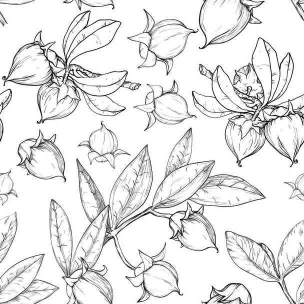 Samless monochrome pattern with jojoba nuts, branch and fruit. - Vector, imagen