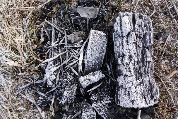 Troncos quemados de una vieja hoguera cubierta de escarcha y cristales de hielo. Hermoso fondo abstracto
. - Foto, imagen