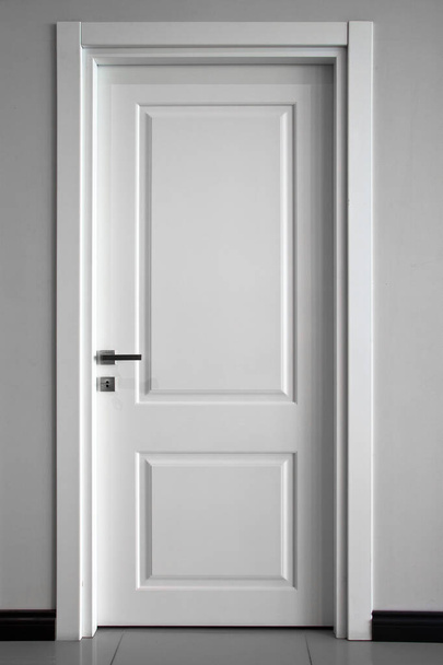 Modern front wooden door in house interior. - Photo, Image