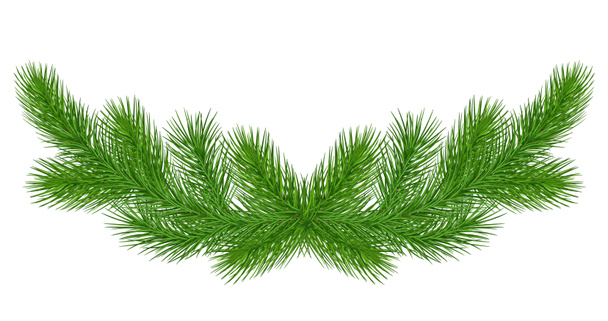 Pine branch wreath / garland, close-up, isolated. Green christma - Photo, Image