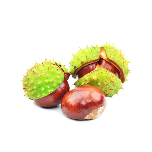 Three chestnuts - Photo, Image