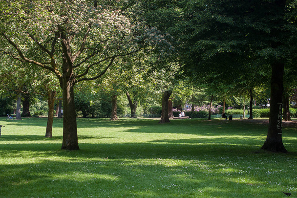 parc public avec pelouse verte
 - Photo, image