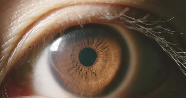 Makro záběr hnědého oka - Záběry, video