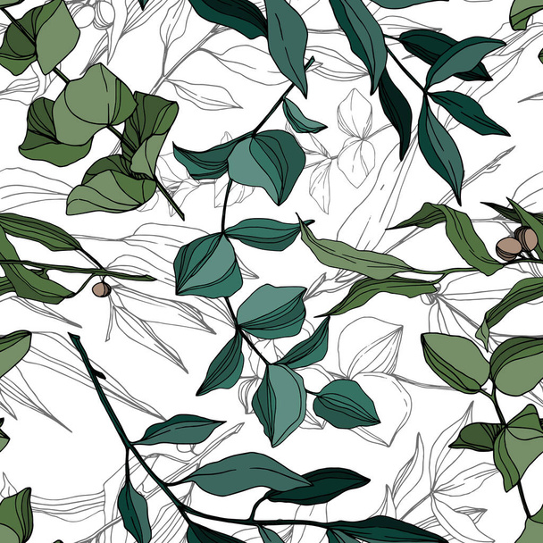 Az eukaliptusz vektor elhagyja a dzsungel botanikáját. Fekete-fehér vésett tinta művészet. Zökkenőmentes háttér minta. - Vektor, kép